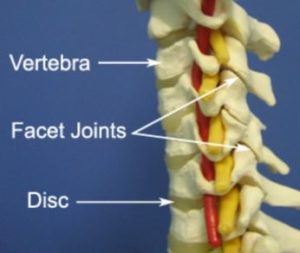 Werribee Chiropractic neck